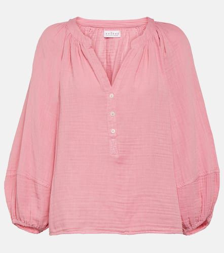 Velvet Vivi cotton gauze blouse - Velvet - Modalova