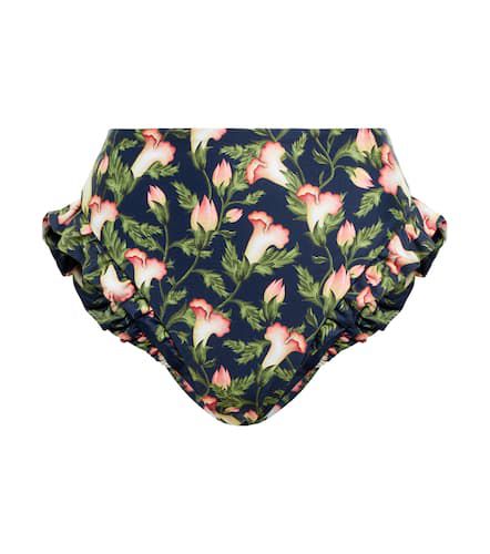 Jengibrea high-rise bikini bottoms - Agua by Agua Bendita - Modalova