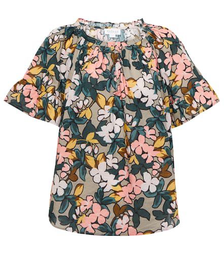 Velvet Lucy floral cotton top - Velvet - Modalova