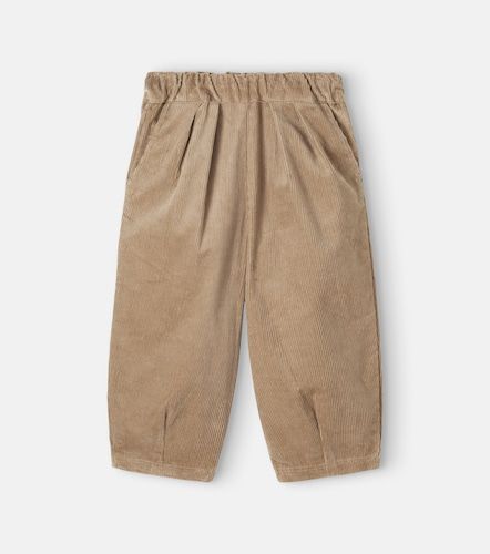 Pantaloni Juno in velluto a coste di cotone - Wheat - Modalova