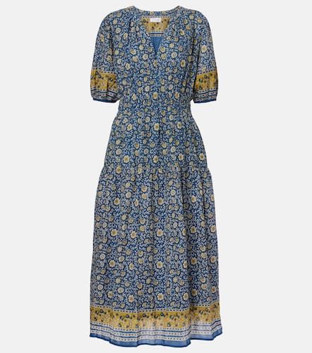 Abito lungo Natalia in cotone con stampa - Velvet - Modalova