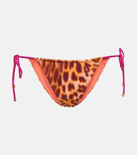 Leopard-print bikini bottoms - Stella McCartney - Modalova