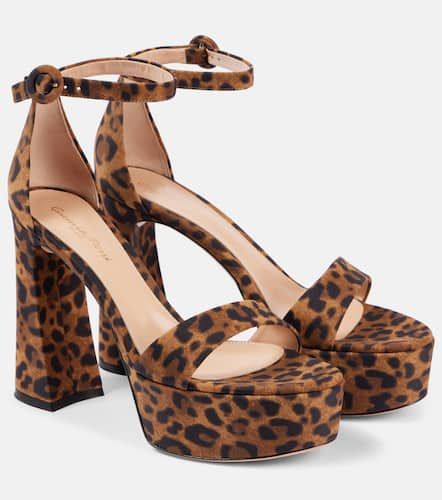 Sandalias con estampado de leopardo - Gianvito Rossi - Modalova