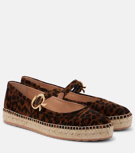 Bedruckte Espadrille aus Veloursleder - Gianvito Rossi - Modalova