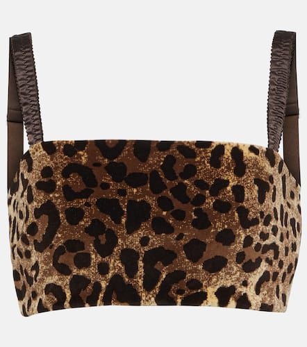 Leopard-print velvet crop top - Dolce&Gabbana - Modalova
