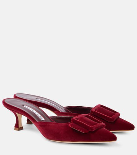 Mules Maysale 50 in velluto - Manolo Blahnik - Modalova