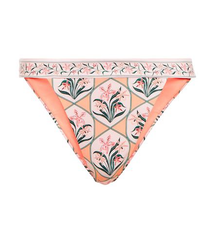 Lluvia printed bikini bottoms - Agua by Agua Bendita - Modalova