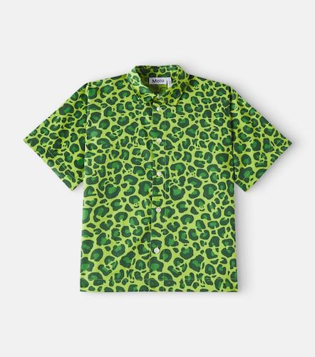 Camisa Richie de algodón estampada - Molo - Modalova