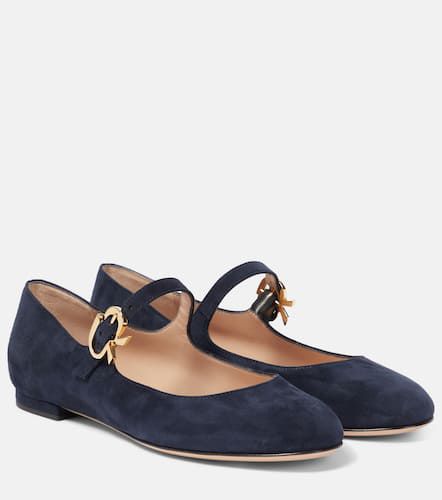 Mary Ribbon suede ballet flats - Gianvito Rossi - Modalova