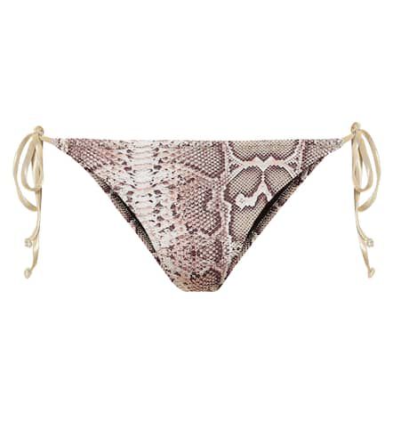 Miami printed bikini bottoms - Reina Olga - Modalova