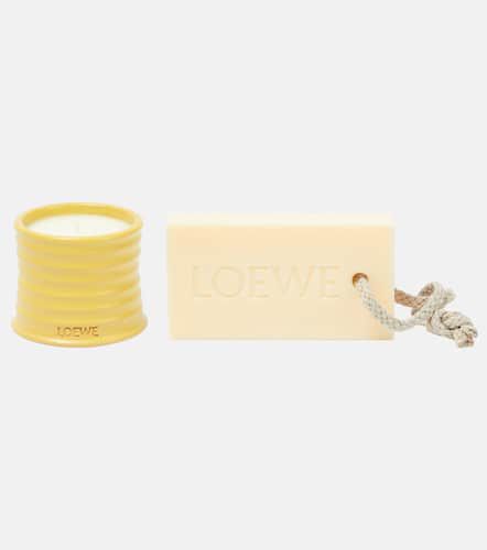 Set de vela aromática pequeña y jabón - Loewe Home Scents - Modalova
