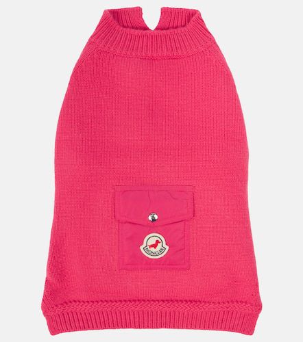 Jersey para perro Poldo Dog Couture - Moncler - Modalova