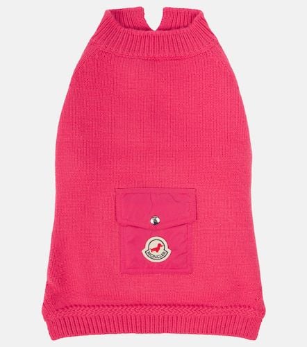 Poldo Dog Couture dog coat - Moncler - Modalova