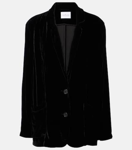 Velvet Blazer Kyla aus Samt - Velvet - Modalova