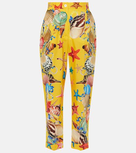 Capri printed high-rise cotton tapered pants - Dolce&Gabbana - Modalova