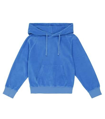 Hoodie Orlando Barista aus Baumwolle - Morley - Modalova