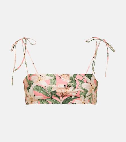 Haut de bikini Primavera à fleurs - Agua by Agua Bendita - Modalova