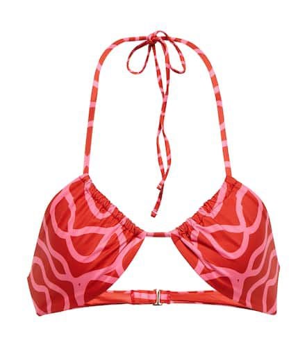 Candela printed bikini top - Agua by Agua Bendita - Modalova