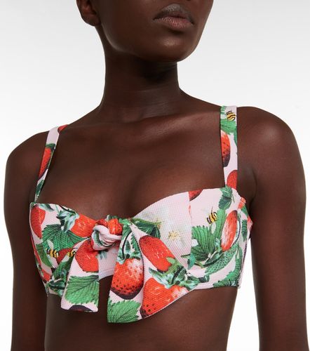 Clara printed bikini top - Alexandra Miro - Modalova