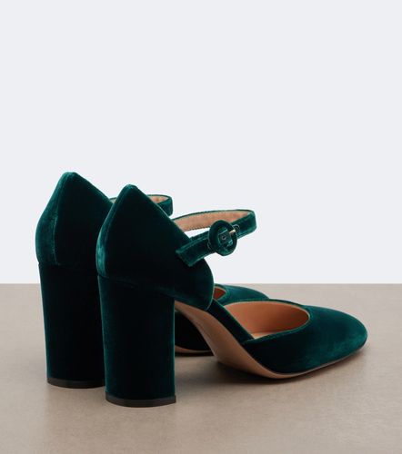 Salones de terciopelo estampados - Gianvito Rossi - Modalova
