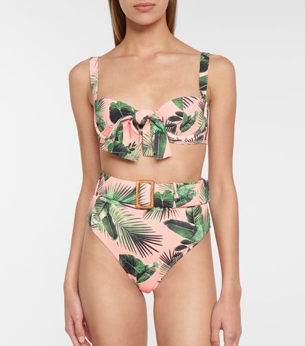 Slip bikini Ursula a stampa - Alexandra Miro - Modalova
