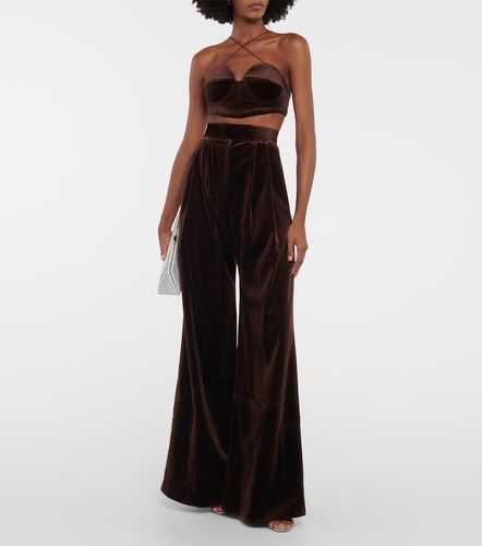 Bralette de terciopelo con cuello halter - Alex Perry - Modalova