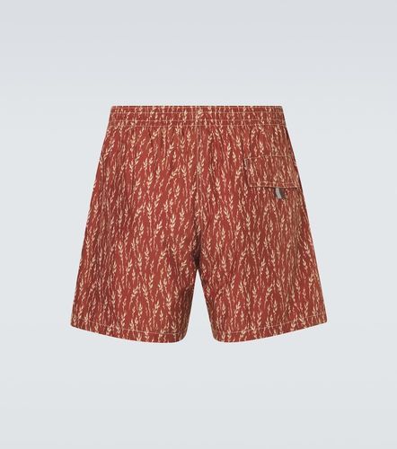 Canali Bañador estampado - Canali - Modalova