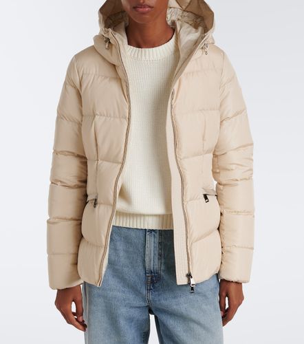 Moncler Piumino Avoce con cappuccio - Moncler - Modalova