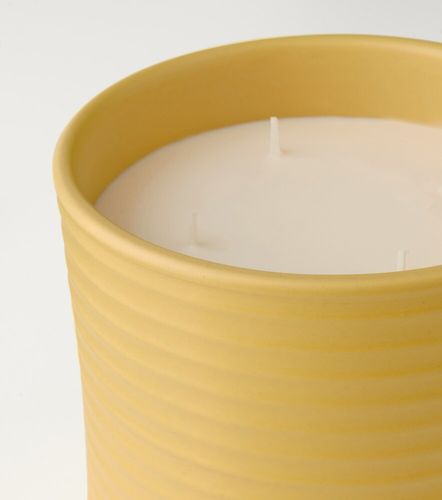 Vela Honeysuckle grande - Loewe Home Scents - Modalova