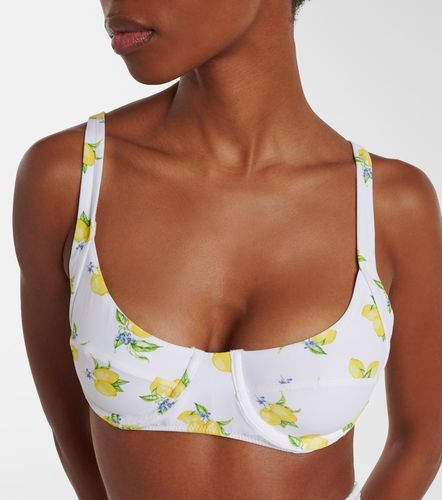Tobago printed bikini top - Melissa Odabash - Modalova