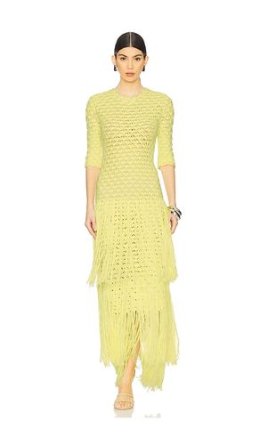 Crochet Dress With Fringe in . Size M - Alejandra Alonso Rojas - Modalova