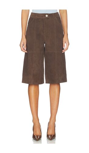 Arden Suede Culotte in . Size 4. Also in 2, 6, 8 - ALIGNE - Modalova