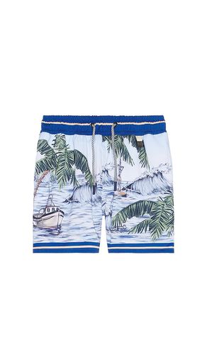 Nick Kai Shorts in . Size 6 - Agua Bendita - Modalova