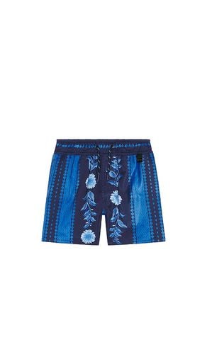 Nick jardim shorts en color azul talla 4 en - Blue. Talla 4 (también en 6) - Agua Bendita - Modalova