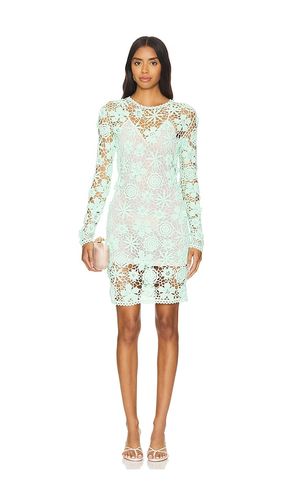 X Revolve Sydney Crochet Mini Dress in . Size L. Also in M, S - AKNVAS - Modalova
