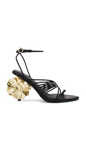 Moonstuck Bloom Heel in . Size 39 - Aje - Modalova