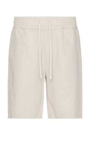 Hanbury Short in . Size S, XL/1X - ALLSAINTS - Modalova