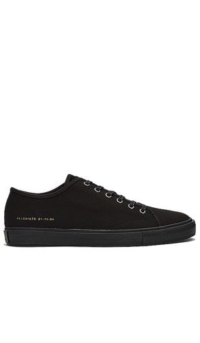 Theo Low Top in . Size 7 - ALLSAINTS - Modalova