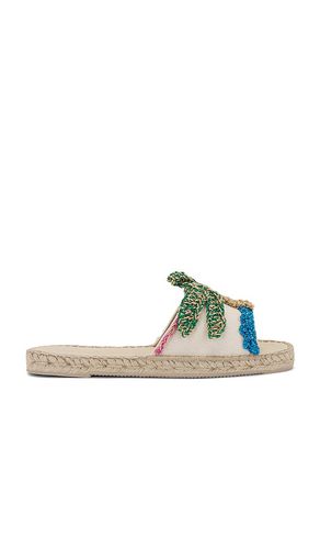 Sunrise Espadrilles in . Taglia 37, 38, 39 - Alameda Turquesa - Modalova