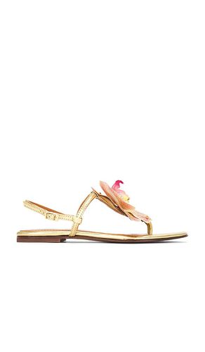 Constance Sandal in . Size 37, 38, 39, 40 - Alameda Turquesa - Modalova