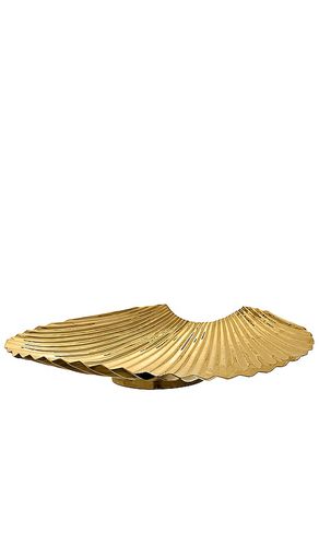 Plato concha en color oro metálico talla all en - Metallic Gold. Talla all - AYTM - Modalova