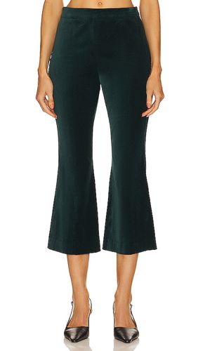 Pantalón corto de terciopelo en color verde oscuro talla 0 en - Dark Green. Talla 0 (también en 10, 12, 2, 4, 6, 8 - BCBGMAXAZRIA - Modalova