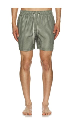 Shell Swim Short in . Size S. Also in XL/1X - Barbour - Modalova