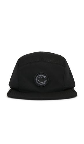 Prodigy performance cap in color size all - Bad Birdie - Modalova