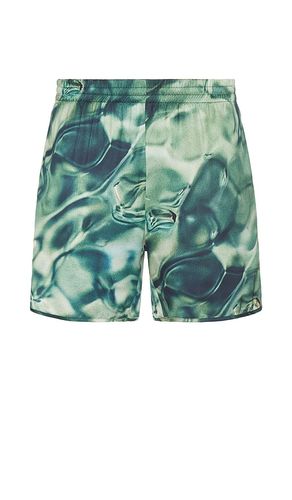 Shorts in . Size M, S, XL/1X - Blue Sky Inn - Modalova