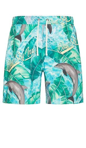 Sky Inn Dolphin Swim Trunks in . Size M, S - Blue Sky Inn - Modalova