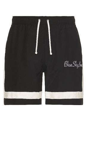 Waiter swim trunks en color talla L en - Black. Talla L (también en S, XL/1X) - Blue Sky Inn - Modalova