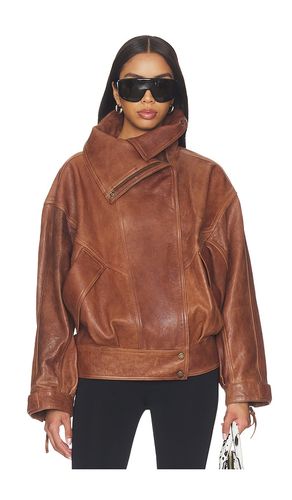High Collar Lambskin Blouson in Maroon in . Size 34. Also in 36 - BALMAIN - Modalova
