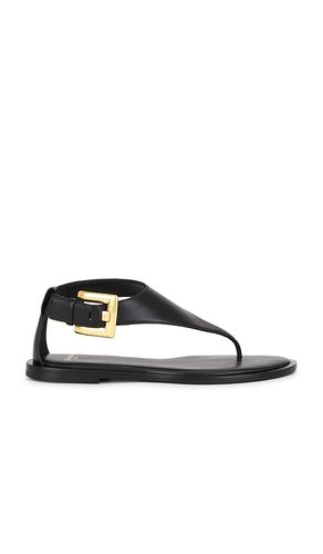 Anthem Thong Sandal in . Taglia 36. Also in 38, 39 - BALMAIN - Modalova