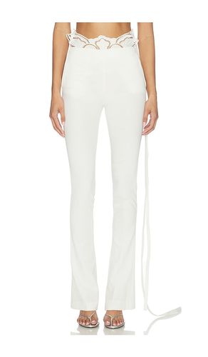 Compact Tailor Pant in . Size 36. Also in 38 - Blumarine - Modalova